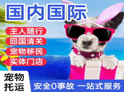 徕宁机场托运国际宠物托运 【国